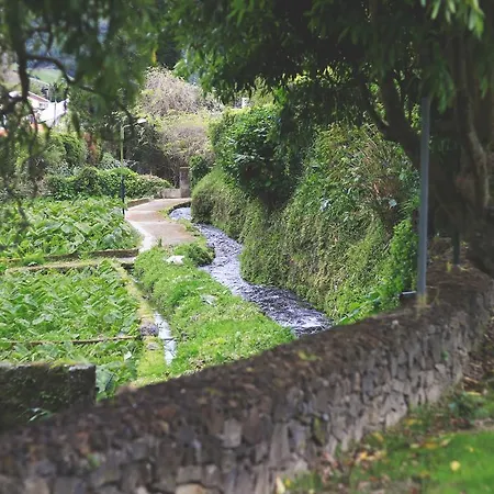 פארק נופש World's Nests Pods Village 4*