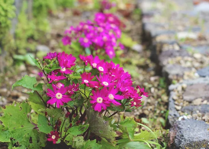 World's Nests Pods Village 假日公园 富尔纳斯